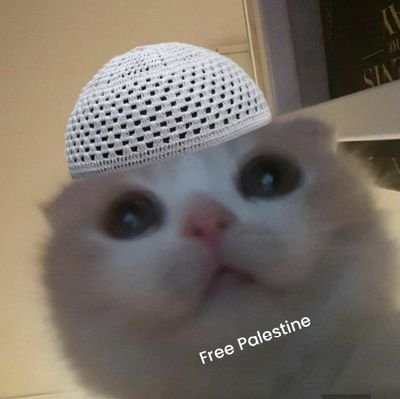 Dawood353447's profile picture. YouTube: https://t.co/l4XYB1j2Px

discord: https://t.co/k67gQFswBN

FREE PALESTINE