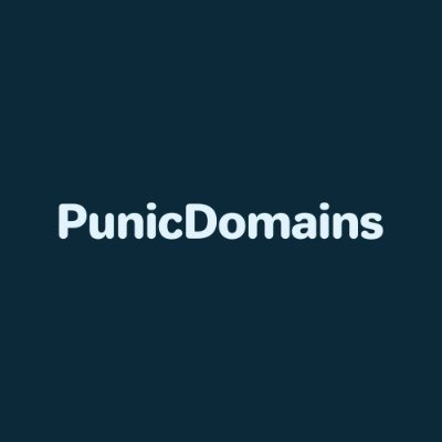 PunicDomains's profile picture. 