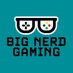 Westen- Big Nerd Gaming (@BigNerdGaming) Twitter profile photo