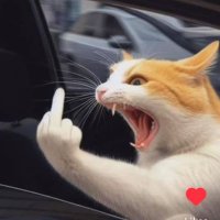 Helena Handbasket π¦π§ββοΈ (@helna_handbskt) 's Twitter Profile