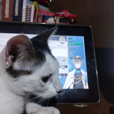 dustbunniees's profile picture. 🫧