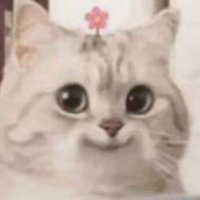 Metloub ᯅ (@android__parody) Twitter profile photo