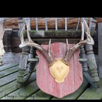 Colton Sharp (@coltonsharp01) 's Twitter Profile