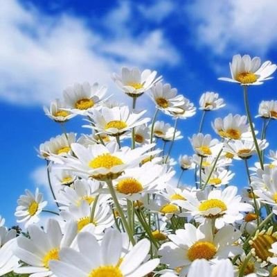 LizBoss15's profile picture. conurbano, murga y sol... las 3 claves de mi felicidad