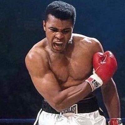 SalisuYunu83353's profile picture. 