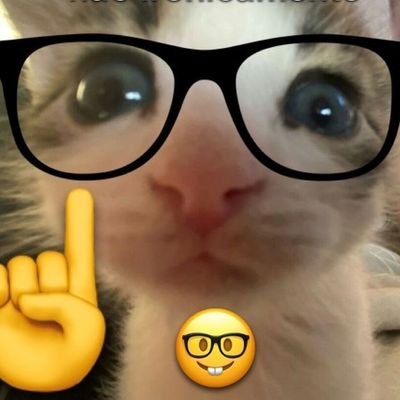 MrOliveirag's profile picture. programador