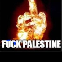 racist pig (@waaor7776) 's Twitter Profile
