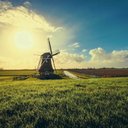 Elaine Mcbride - @McbrideEla45236 - Twitter