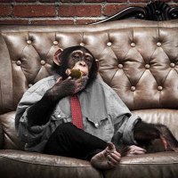 Getz Money (@getz_money) 's Twitter Profile