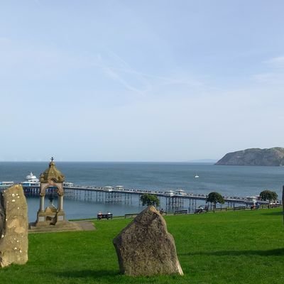 mmvsanchez's profile picture. 