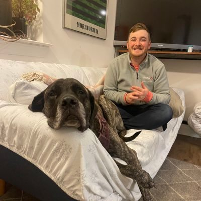 Principal, Pinpoint Campaigns.
Remi's Biggest Fan.
Alum of @MrLogemann, @AlexLasryWI, @axne4congress.
(Re)tweets ≠ endorsements.
Life is just a series of dogs.