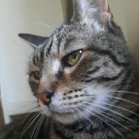 Kyle3y78 (@kyle3y78) 's Twitter Profile
