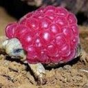 Luke Range - @LukeRange586731 - Twitter