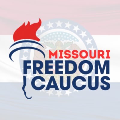 Main Account: @mofreedomcaucus Freedom. Liberty. Justice for All Missourians.