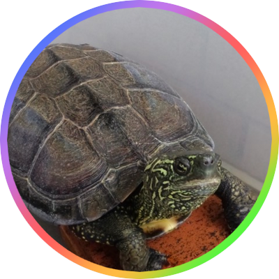 kuro_sala's profile picture. 真夜中の社畜。