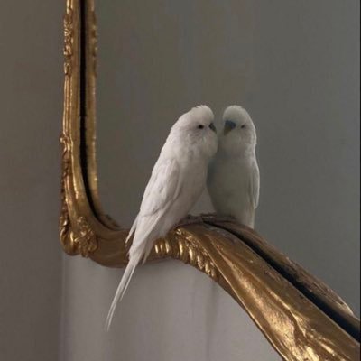 jood54x's profile picture. "و يبقى في القلب شيء، لايعلمه إلا رب كل شيء."