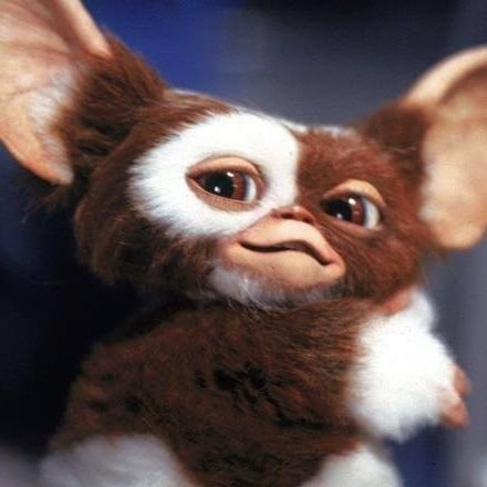 jumastudy's profile picture. vestibulanda de Direito ; #studytwt - foco UFRGS&ENEM ; ela/dela