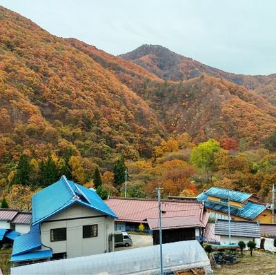 kotukotutosi's profile picture. コツコツ懸賞生活
当選確率1～5%ほど。