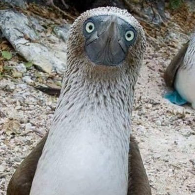 Williamjwhite8's profile picture. 