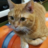 L C (@lc4738083169881) 's Twitter Profile