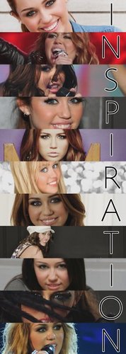 I'm Smiler who's not democratic. so do not copycat my style