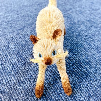 poruka195's profile picture. 保護猫たぬシャム＆おとぼけコザクラインコ飼い。 珈琲･赤ワイン好き。