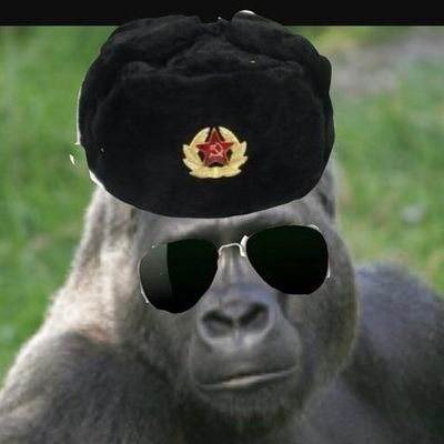 CommieVegan's profile picture. 