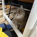 justine dragon - @justine10528 - Twitter