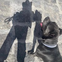 Anna Tazzer (@annatazzer) 's Twitter Profile Photo Anna Tazzer (@annatazzer) 's Twitter Profile Photo