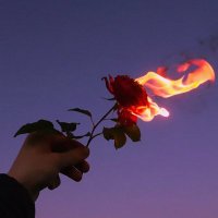 tosh (@toshdeluxe) 's Twitter Profile Photo