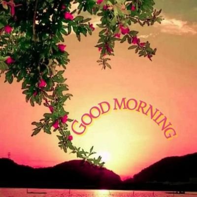 SreenathHariha2's profile picture. 