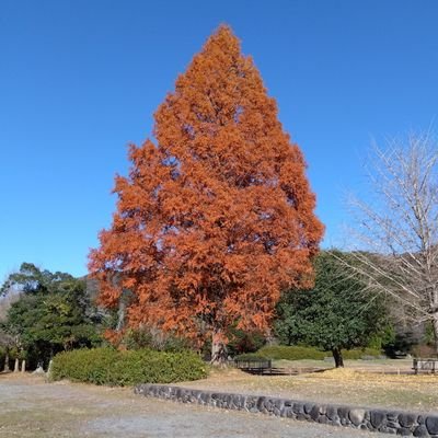 関西と東京在住の温泉とサウナと食べ放題好きのおっさんです、よろしくお願いします！
私、５８歳、会社経営／
妻、小売業に従事／
長女、看護師／
長女の夫、看護師／
孫、5歳女の子と、2歳女の子／