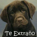 Michael soprano - @pachecoelperro - Twitter