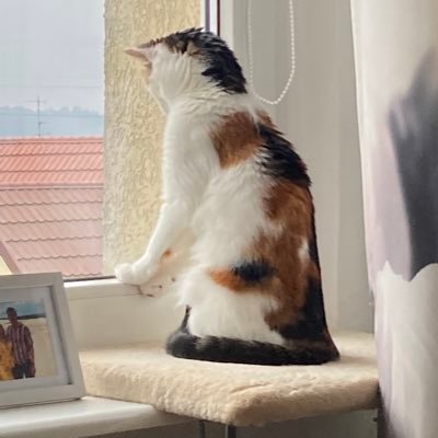 Adrian80972153's profile picture. 