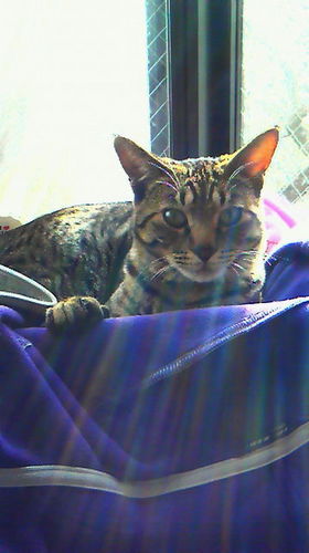 S_E46's profile picture. ウチワネタをひたすら呟こうと思ってます。