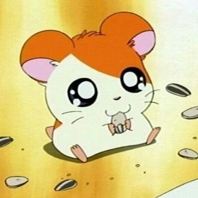 Hamtaro🌰