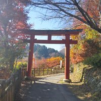 株式会社Nextdays solutions 滝口大海 (@nds_h_takiguchi) 's Twitter Profile