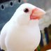 Ʊ˚ (@pichika21) Twitter profile photo Ʊ˚ (@pichika21) Twitter profile photo