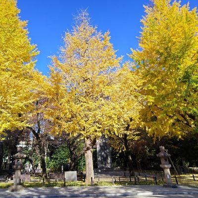 庭園の散歩が趣味。妻から写真の撮り方を手習い中。花や庭などの写真を載せていこうと思っております。色々な趣味の方と繋がりたいです。フォロー大歓迎。よほど変なアカウント以外はフォローバックします。皆様、どうぞ宜しく御願い致します。