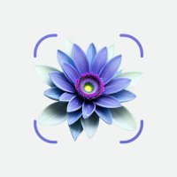 Plantora- Plant Identify, Care (@plantoraapp) 's Twitter Profile Photo