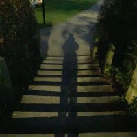 wisława (@sweet_scrawling) 's Twitter Profile