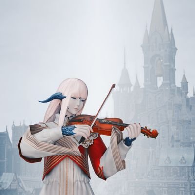 FF14 中国 鸟区 重度女精