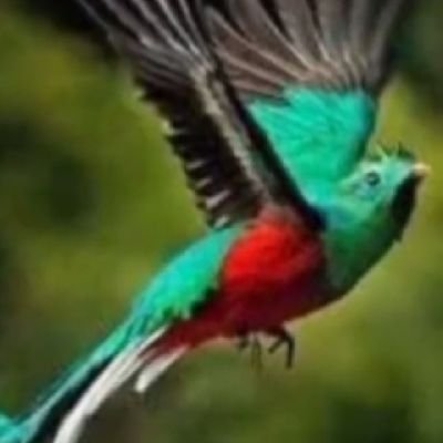 wongso_lo3's profile picture. Rodlitubillahi robba, wabil Islamiddiina
wabiMuhammadinnabiyaw warosula.
 #gakfollowporno. ⛔🌈⛔cebi ⛔