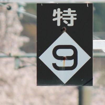 RapidExq's profile picture. ブレブレなおたく