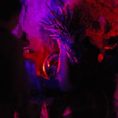 Cangaaaa_jp's profile picture. 🇯🇵