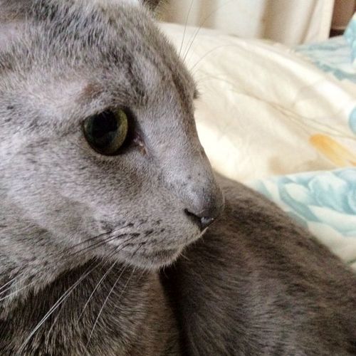 あいびーあんどぶるー