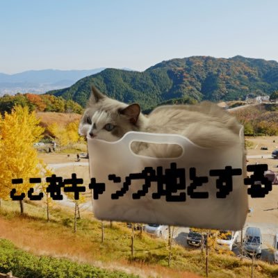 ファミキャン歴2年の千葉県在住🔰お三十路キャンパーです! 2024年より念願のソロキャンを始める予定です。キャンプに関する日々のあれこれを自由気ままに投稿します! できればソロキャン友達が欲しい。。。