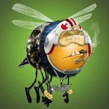 alt_bee_ Profile Picture