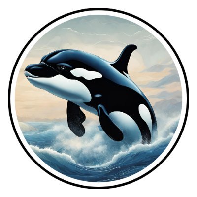 orca_inu Profile Picture