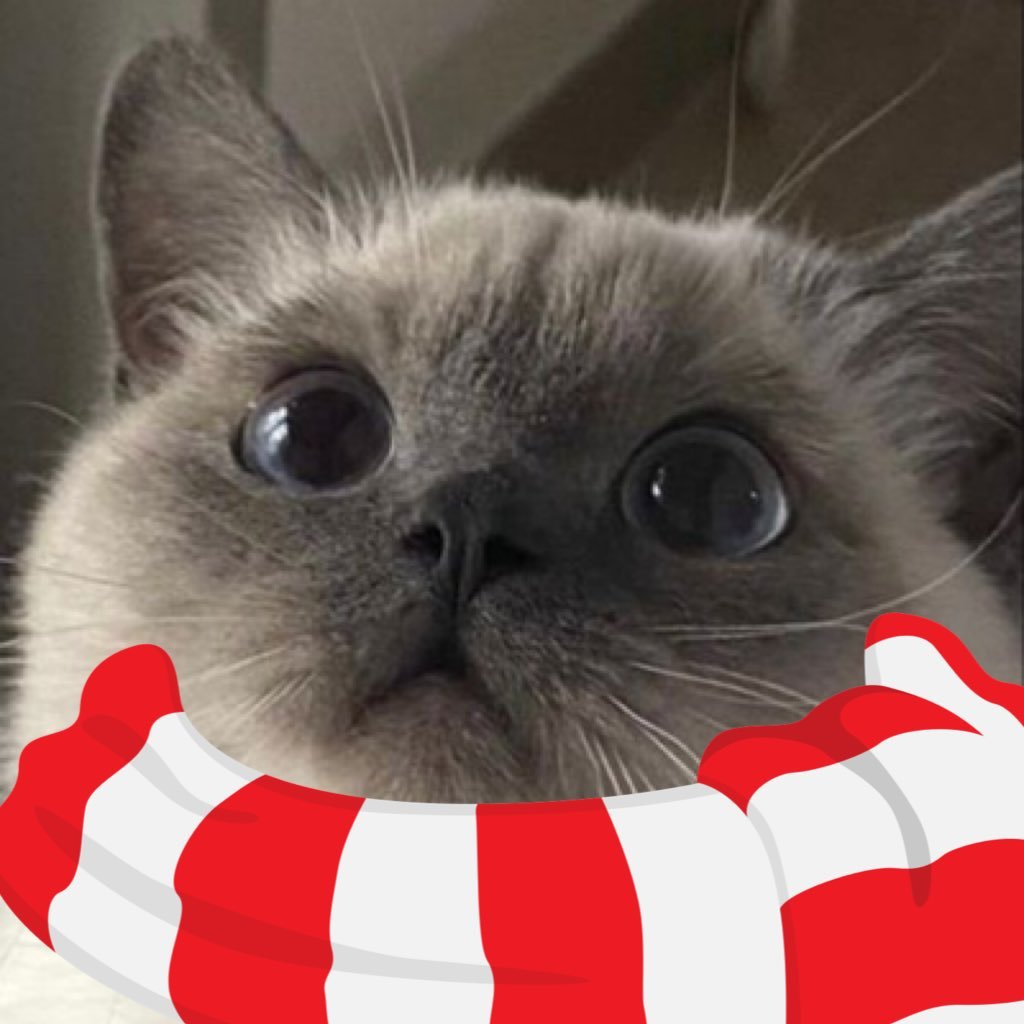 wooseokRoad's profile picture. /ᐠ • ˕ - ﾏ ♡ @kws_blitzway